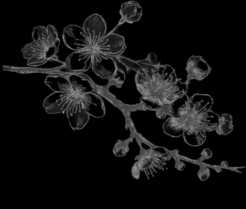 Sakura Branch Left